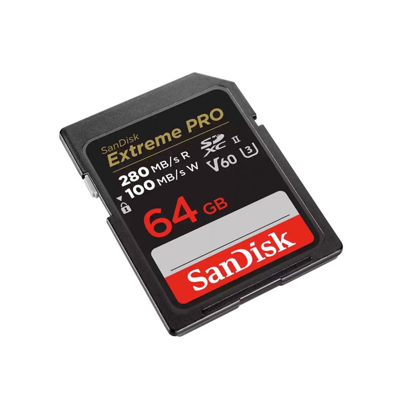 Card SD 64 go